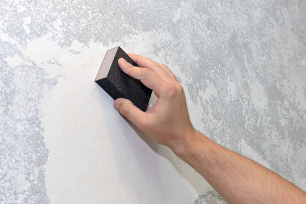 Best Asbestos and Lead Testing During Mold Inspection  in Crainvle, IL