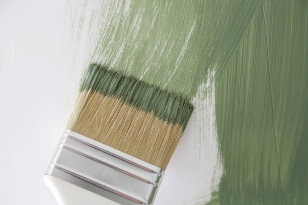Best Water Damage & Mold Remediation  in Crainvle, IL