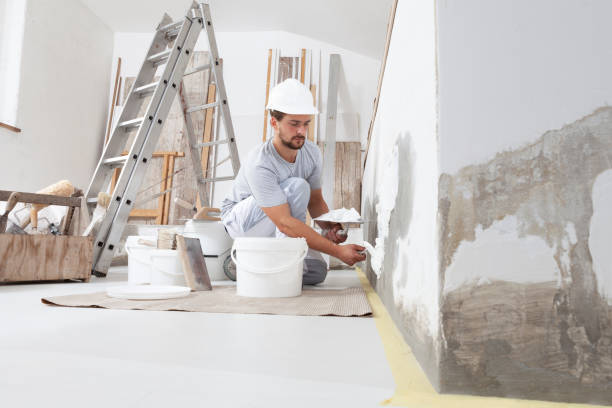 Best Airborne Mold Testing  in Crainvle, IL