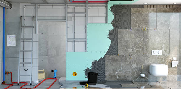 Crainville, IL Mold Removal Company