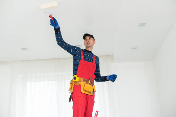 Best Mold Remediation for Healthcare Facilities  in Crainvle, IL