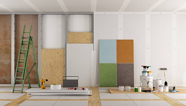 Best Commercial Mold Inspection  in Crainvle, IL