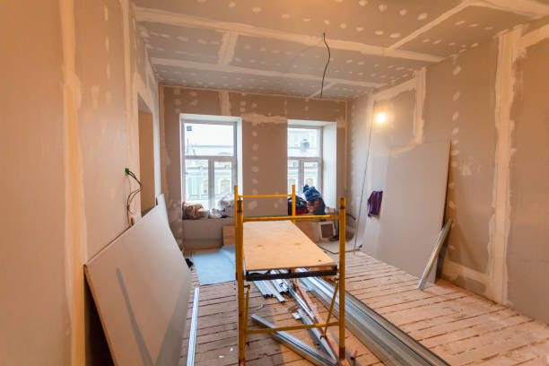 Best Mold Prevention Services  in Crainvle, IL